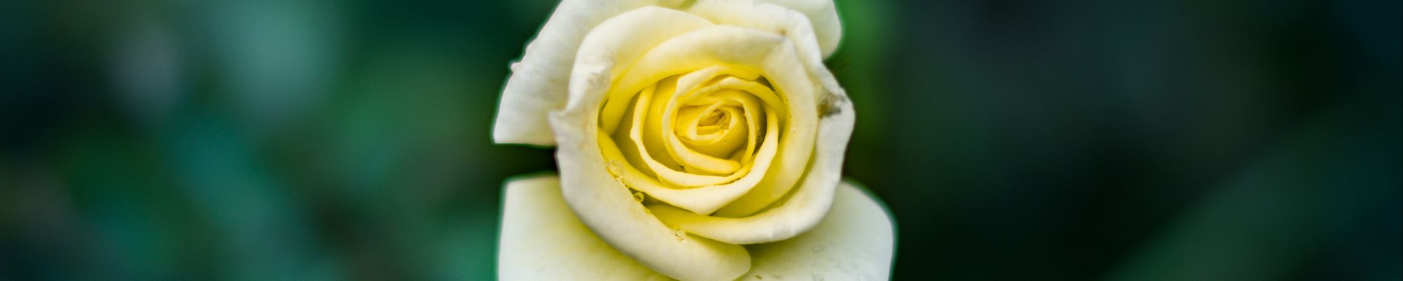 Cover photo for Whit Lindan Cecil Dunfee's Obituary