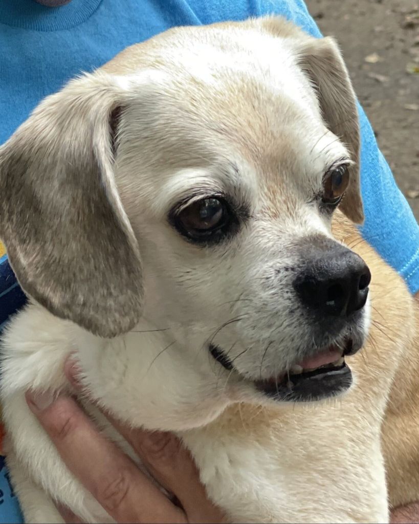 Lucy 🐾 Profile Photo