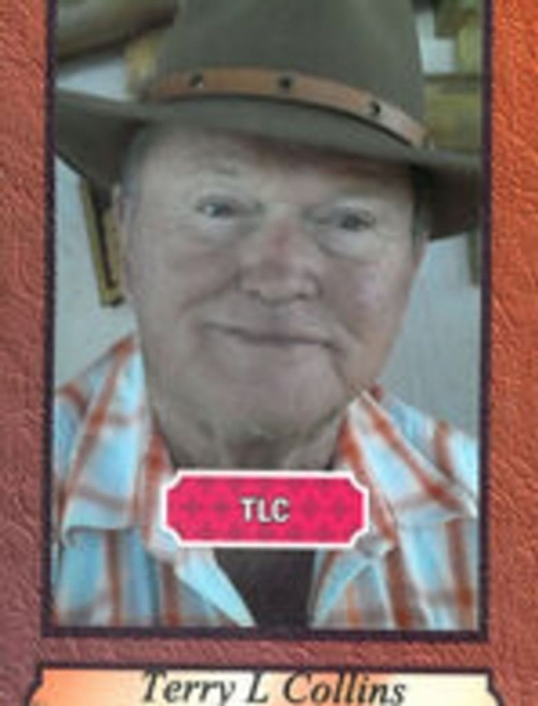 Terry L Collins