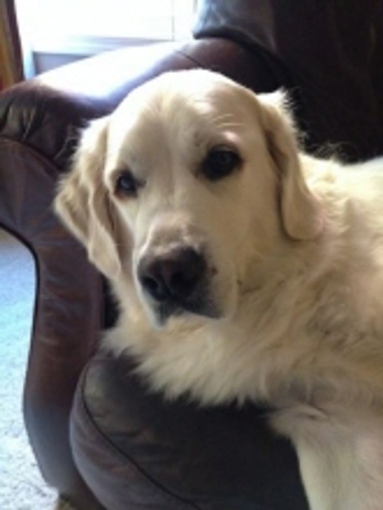 Marlin Woods Profile Photo