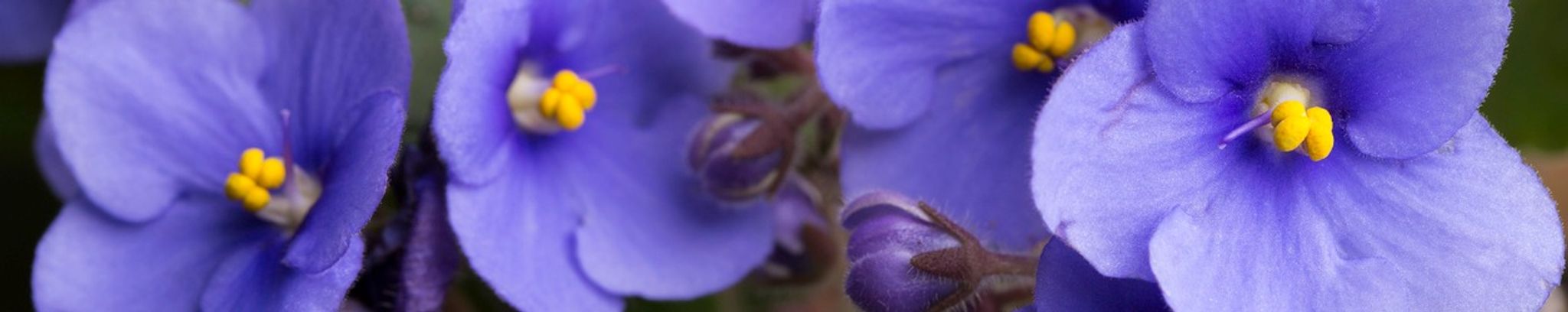 Cover photo for Jean Suggs Harrison's Obituary