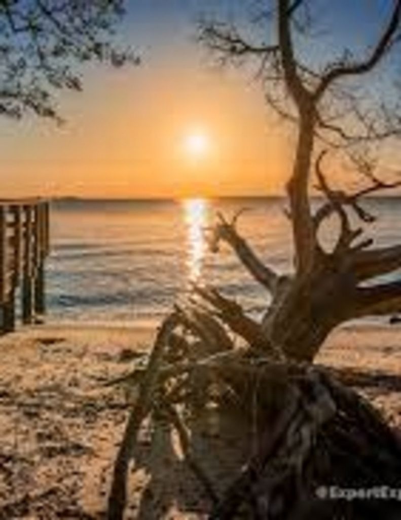 Marc Rene Raeckelboom