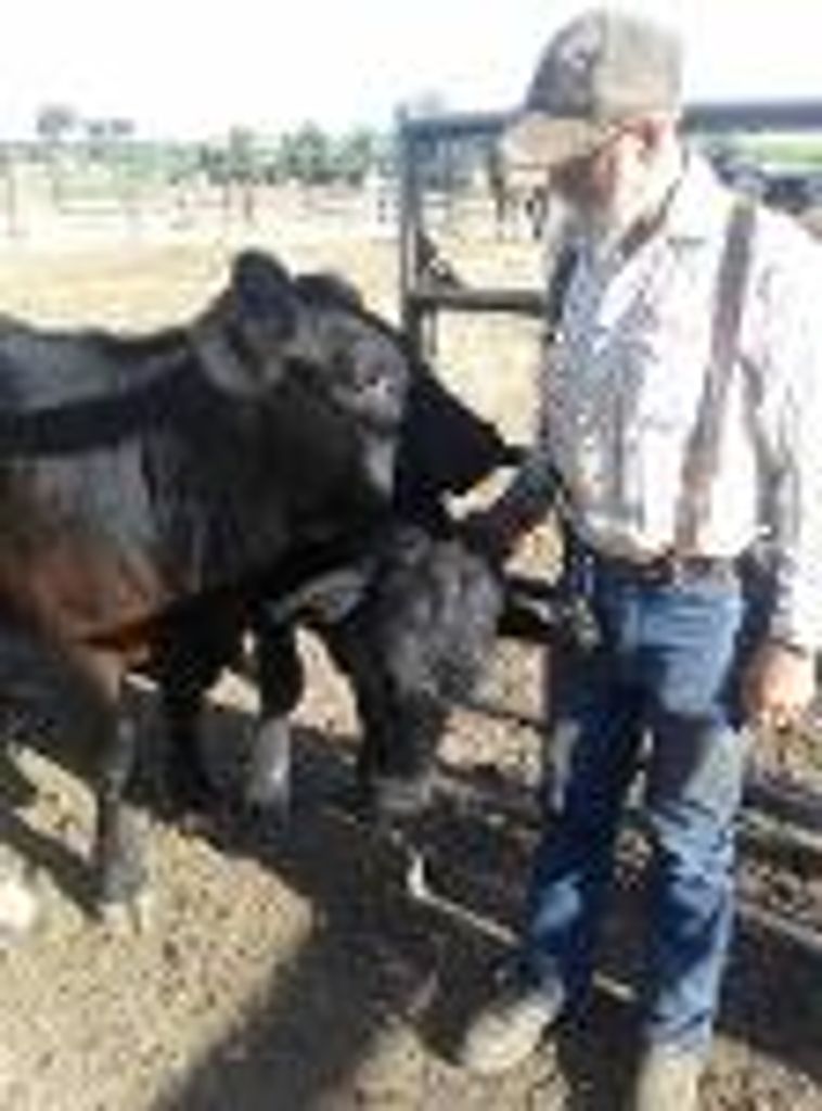 William P. Sheahan Profile Photo