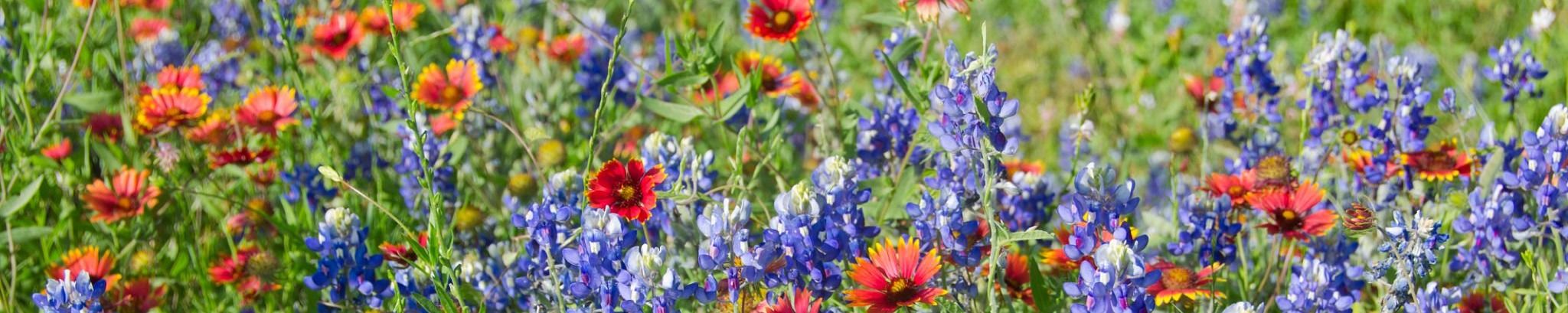 Cover for Margie Prosser's Obituary