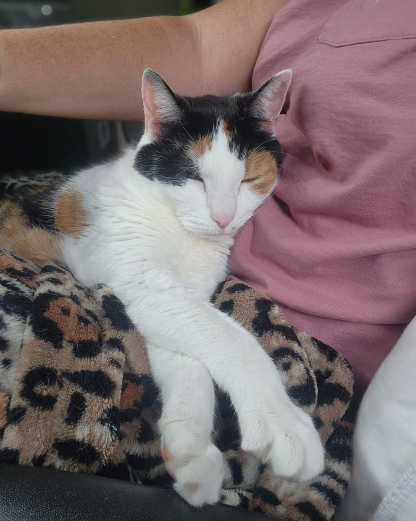 Chloe McCabe Profile Photo