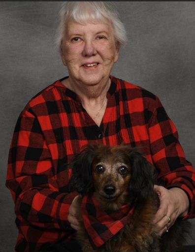 Sharon Lee (Shoemaker)  Chiang Profile Photo