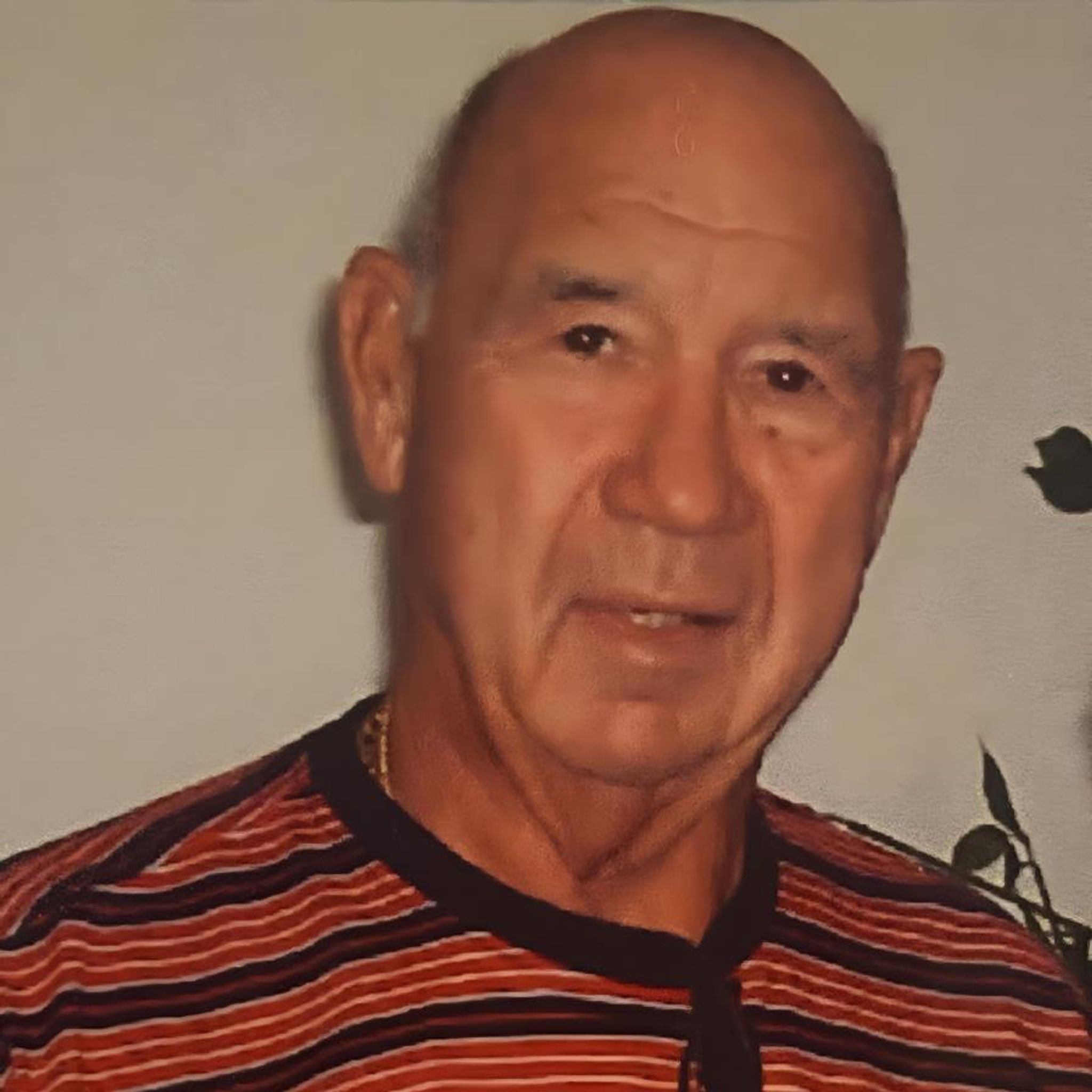 Dale Alden Miller Obituary Nov 6, 2025 - Reynolds Jonkhoff Funeral