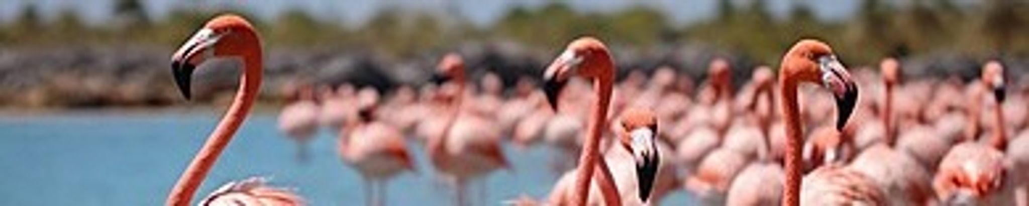 Cover for Michael Dennis Hendrickson's Obituary