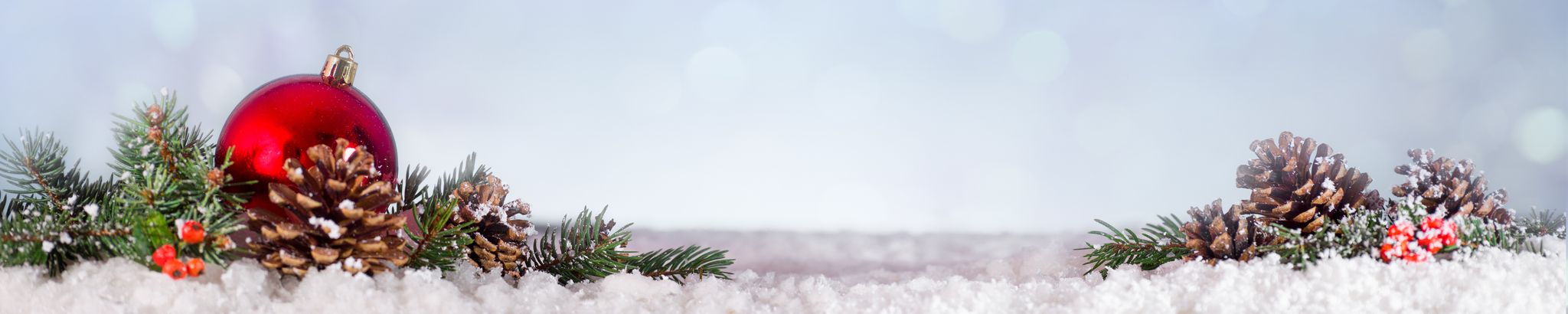 Cover for Holiday Service of Remembrance Livestream's Obituary