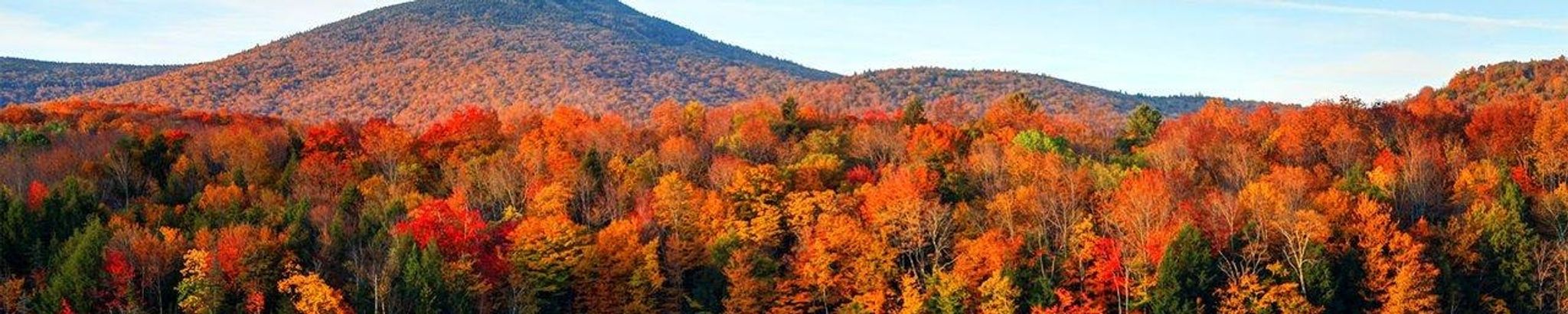 Cover photo for Janet L. Montgomery's Obituary