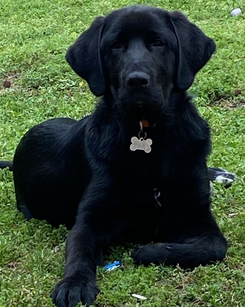 Rocky Murray Profile Photo