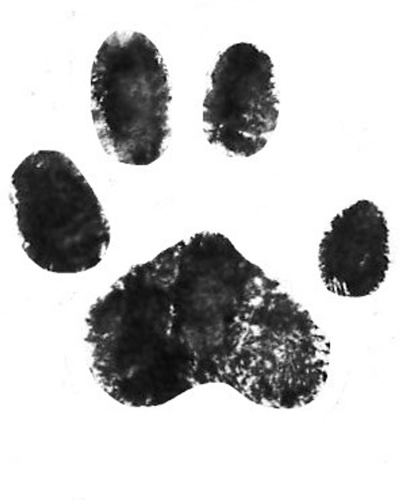 Fig Lockamy Profile Photo