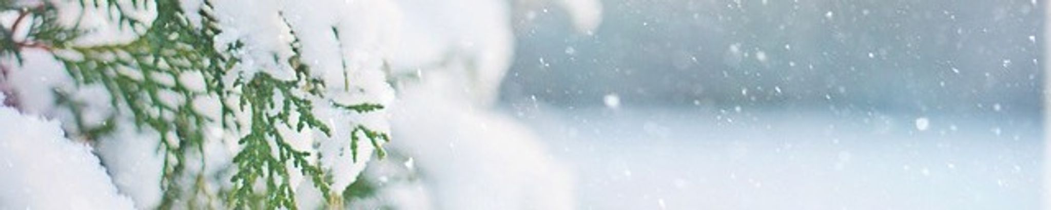 Cover photo for Karen W. Briggs's Obituary