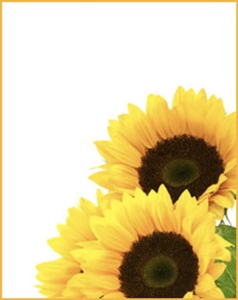 Kenneth Lee Snyder Profile Photo