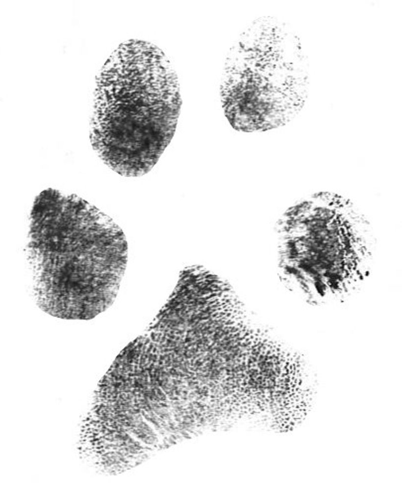 Macy Crump Profile Photo