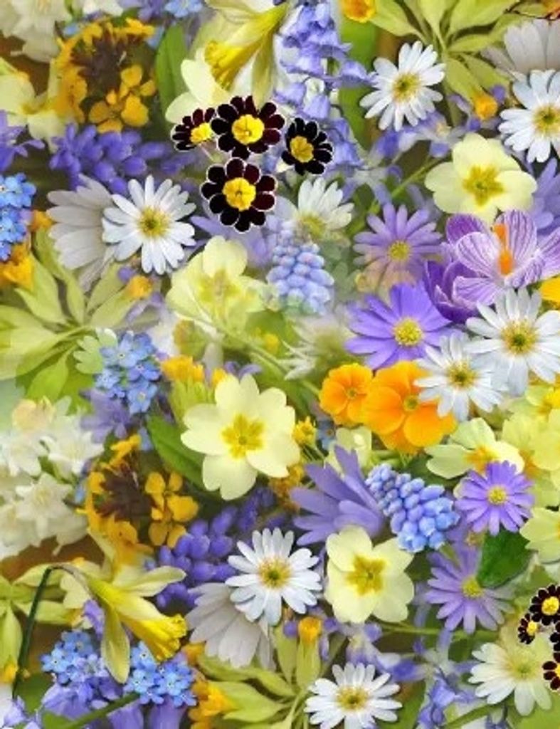 Joyce M. Mccurley Profile Photo