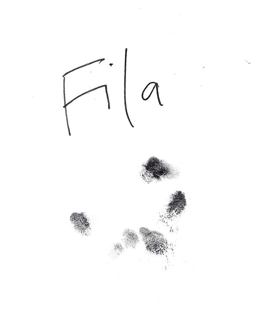 Fila Sharpe Profile Photo