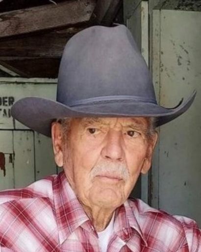 James Albert Johnson's obituary image
