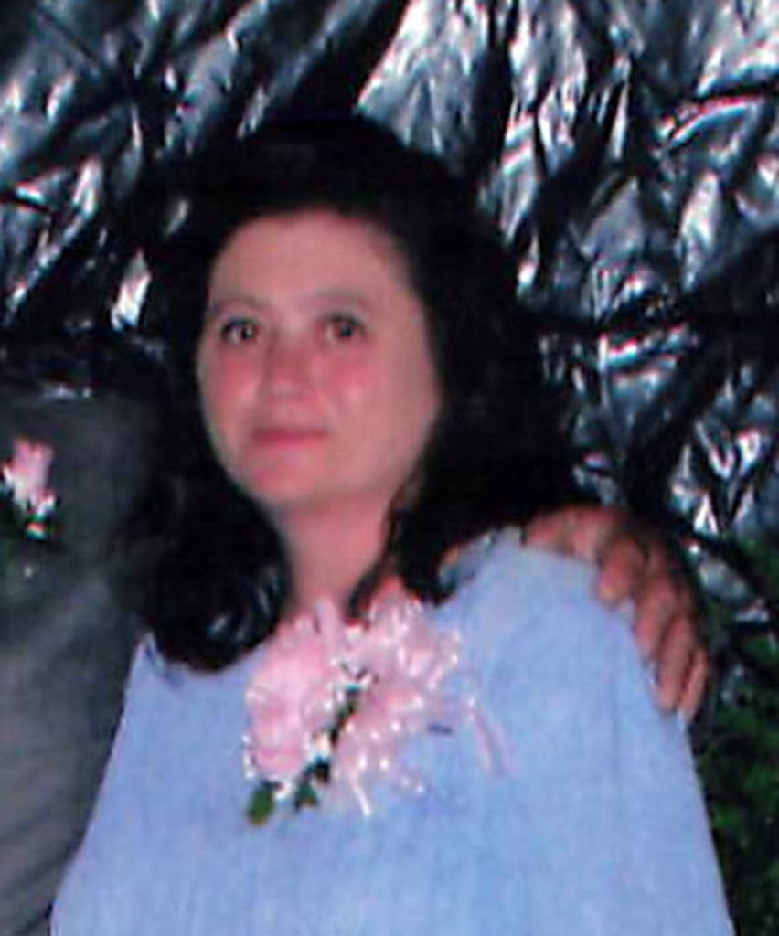Carol Starkey Profile Photo
