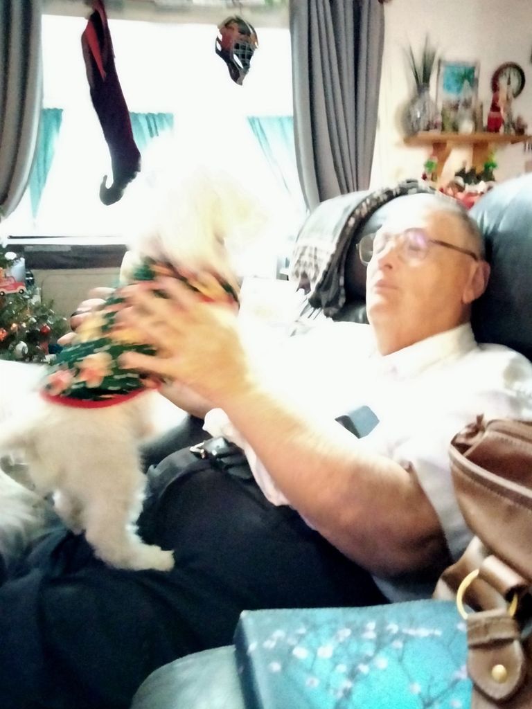 Everett Deboer Profile Photo