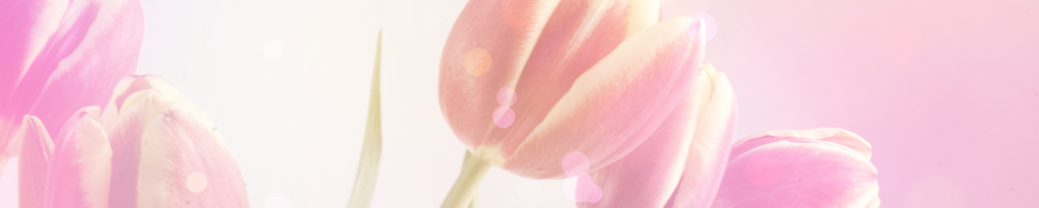 Cover for Paisley Raelynn Jankowski's Obituary