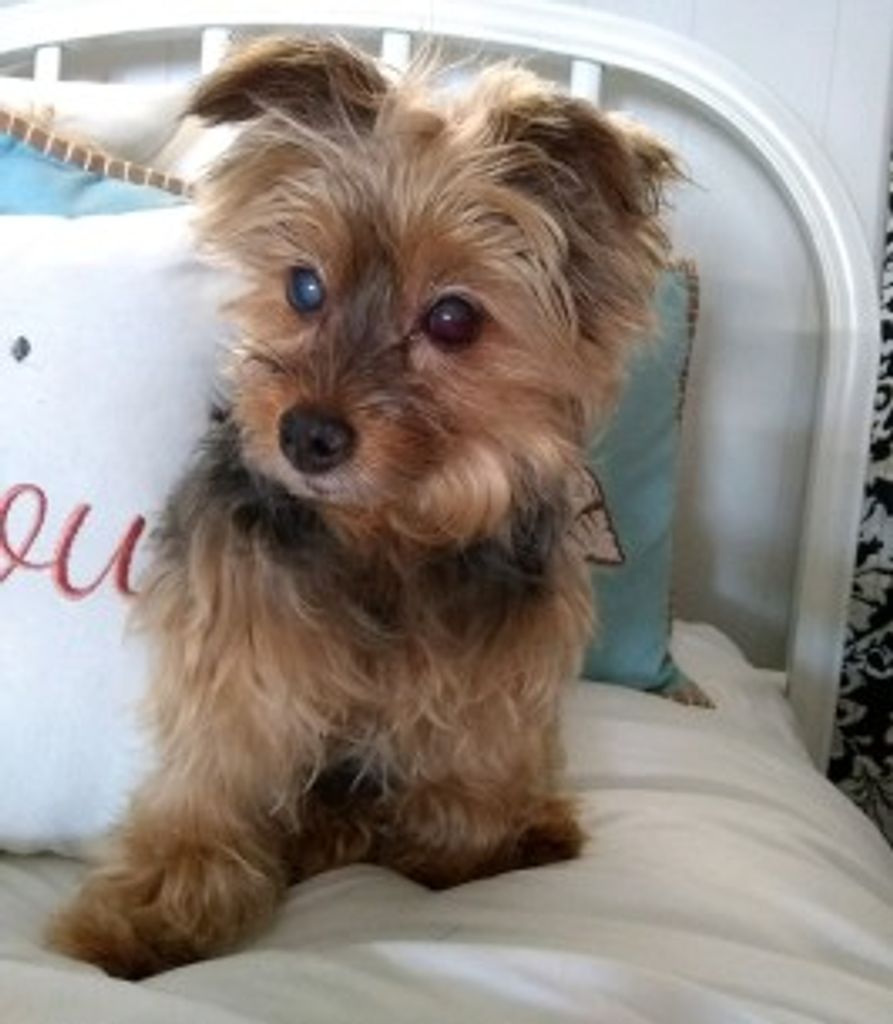 Maggie Mae Lumpkin Profile Photo