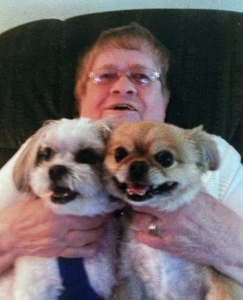 Antoinette D Znamenacek Profile Photo