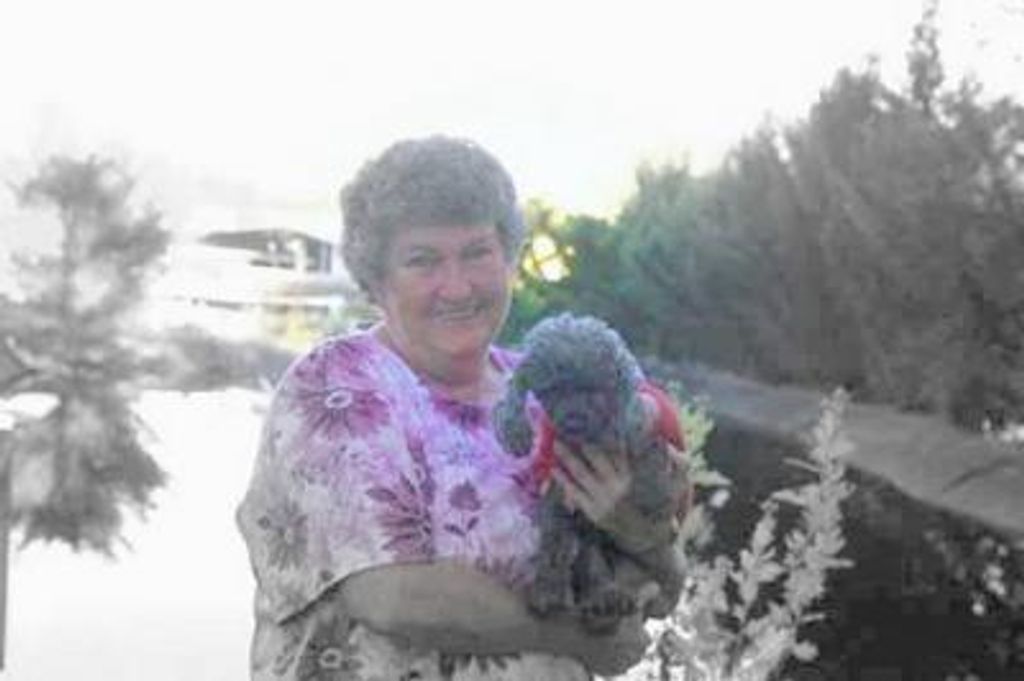 Perrone, Barbara Ann
