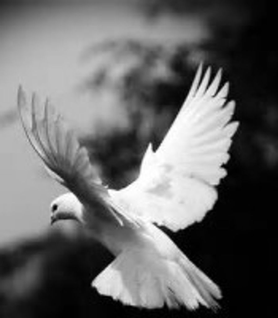 Sammie Lee "Crow" Mervin
