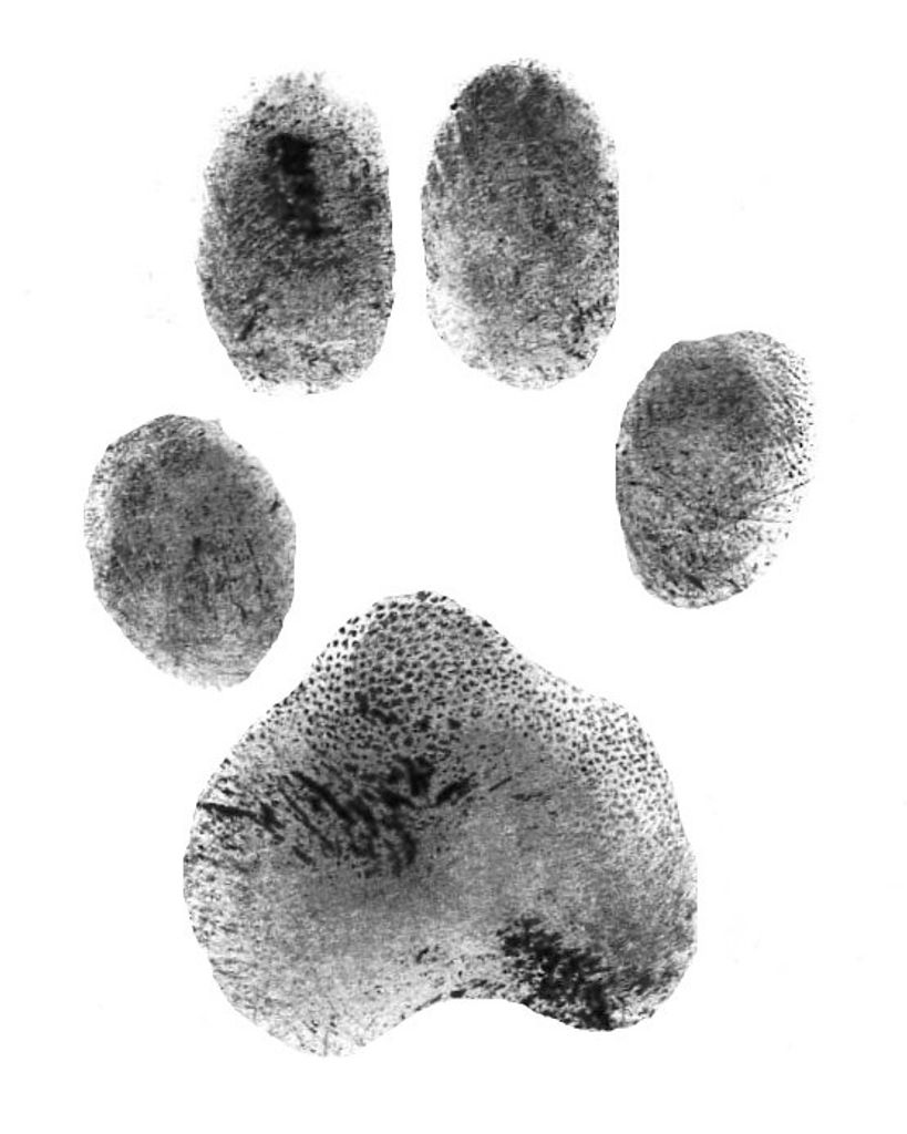 Stella Bohannon Profile Photo