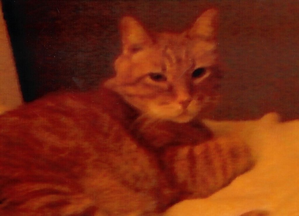Carter "Bubbie" Lane Profile Photo