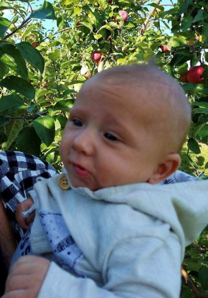 Lincoln Michael Tracy