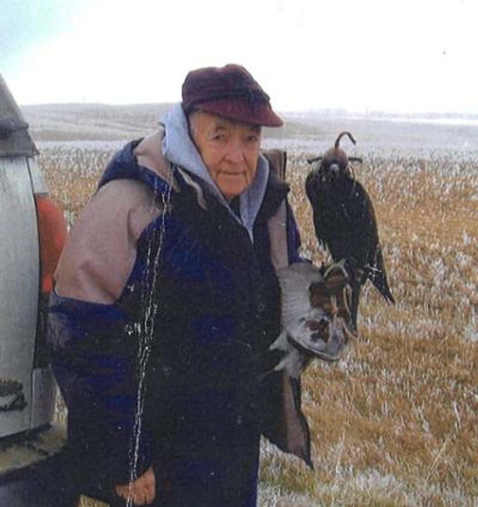Harold "Hal" Webster Profile Photo