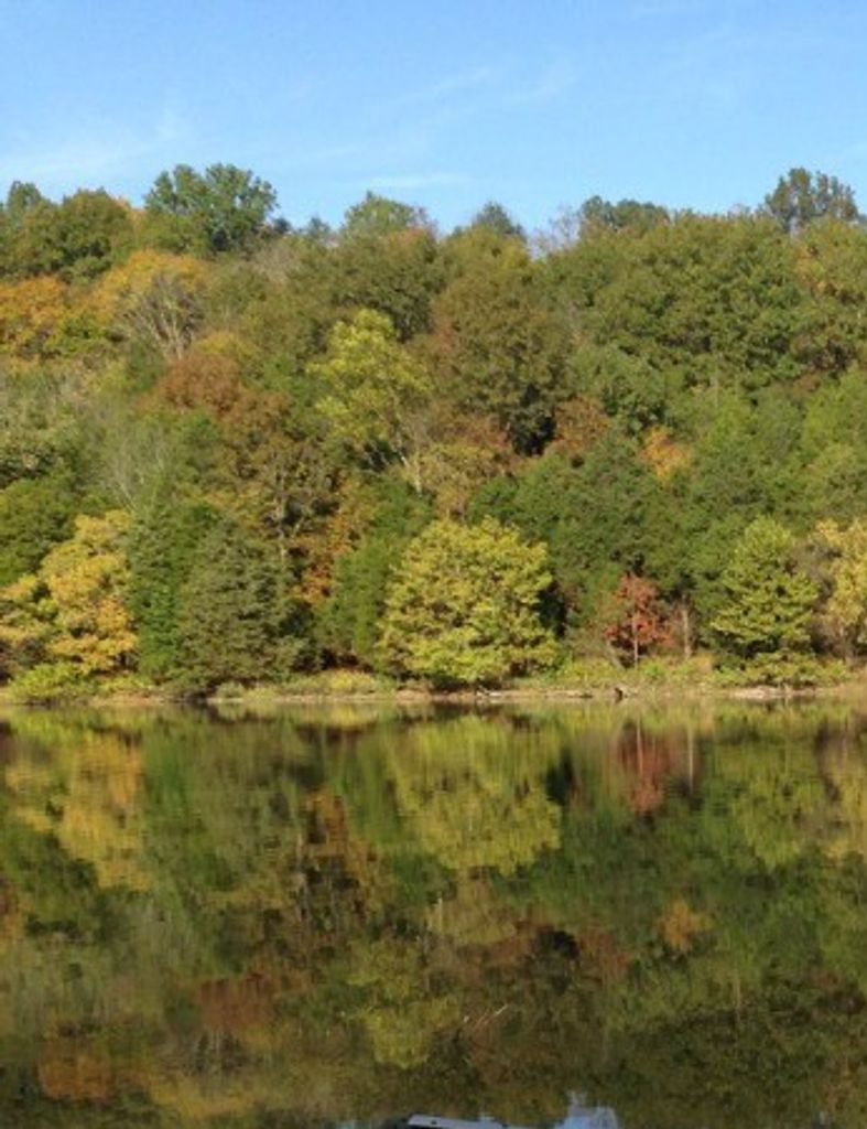 Joseph Timothy (Tim) Reeder Profile Photo