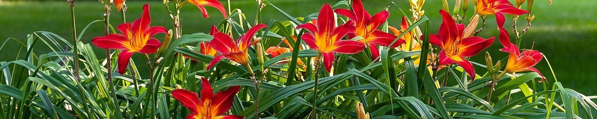 Cover for John C. Wagner's Obituary