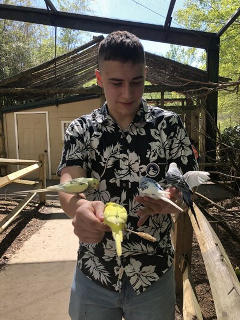 Greyson Michael Magliocca Profile Photo