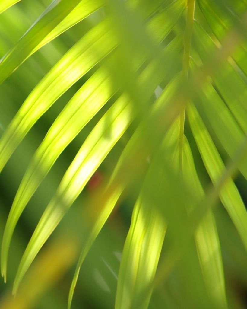 Area Resident (Anonymous) Profile Photo