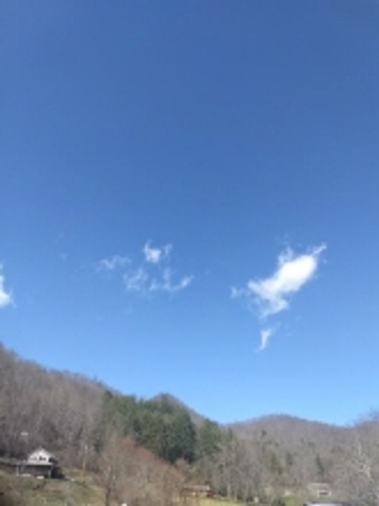 Michael Anthony Hall