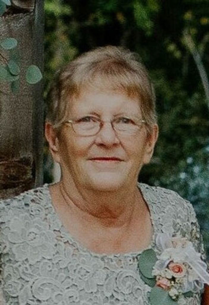 Sue Ann Herter Profile Photo