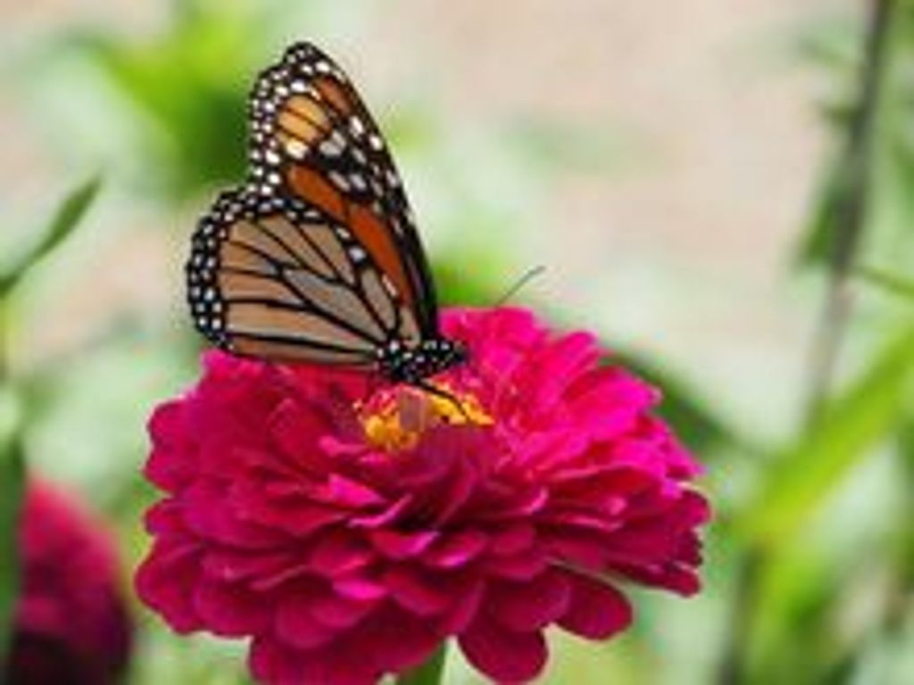 George  S. Kingsley Profile Photo