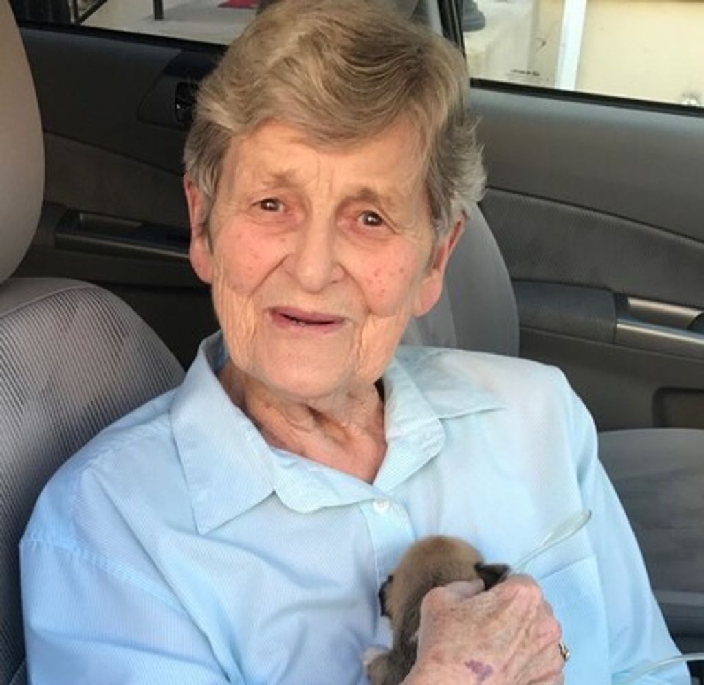 Mary E. Wendell Profile Photo