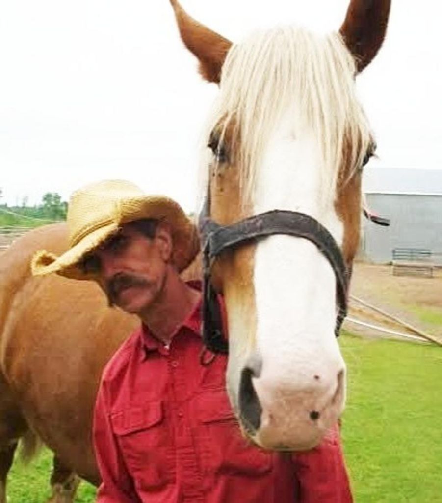 David Williams Profile Photo