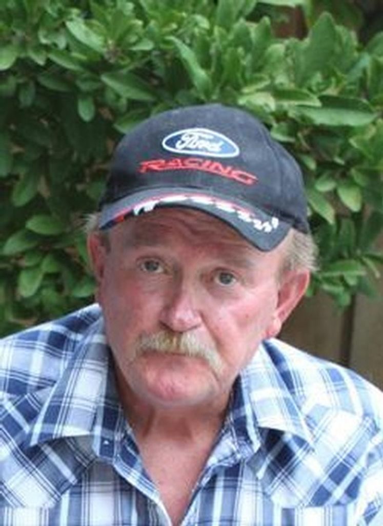 Forest Robert Bartlett