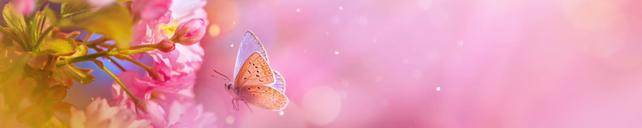 Cover for Charlee Dawn Wells-Deweese's Obituary