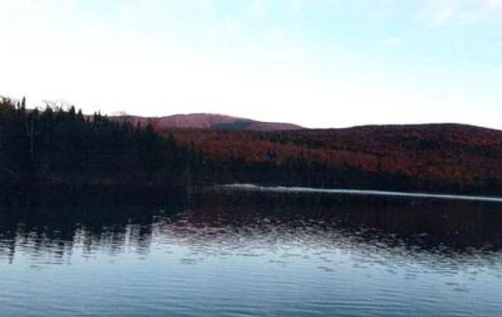 Stanley "Shorty" Henry Wilmot