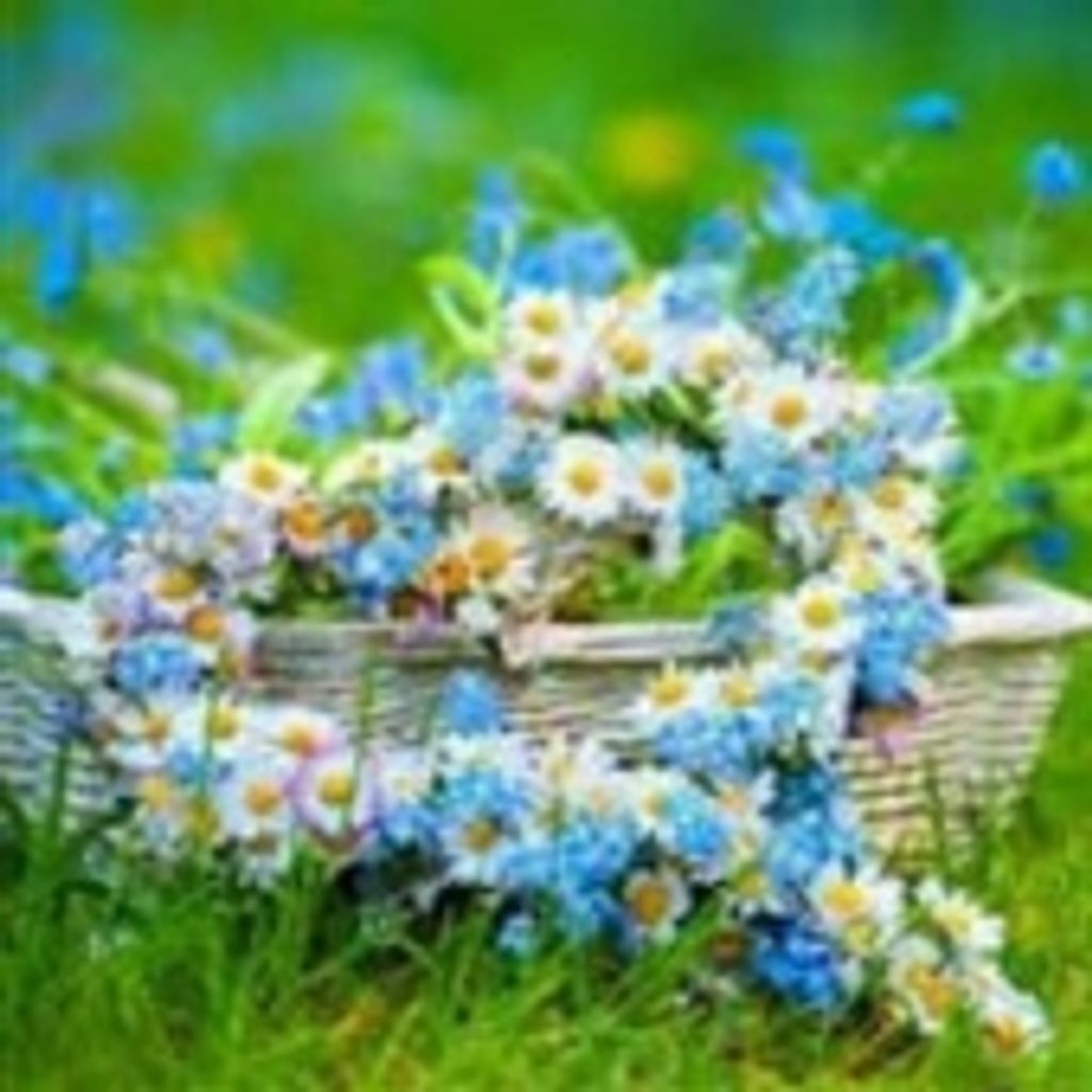 Elizabeth Harriette Steinmetz