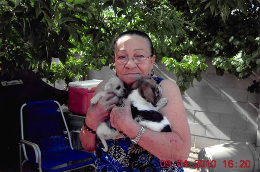 Felicia O. Santisteban photo gallery thumbnail 7 of 23