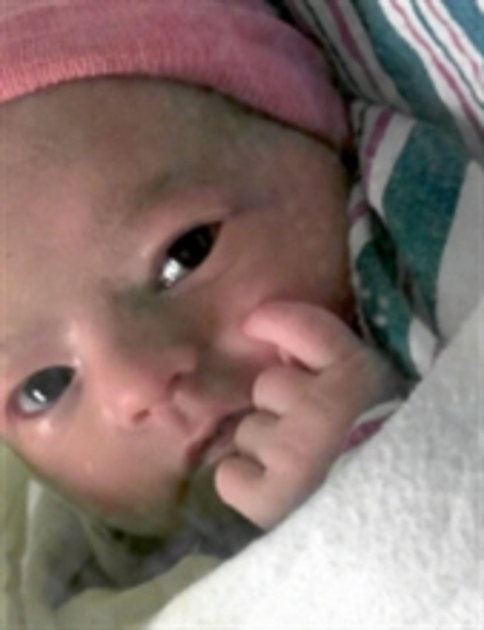 Rylynn Grace Gravenstein photo gallery image 1 of 2