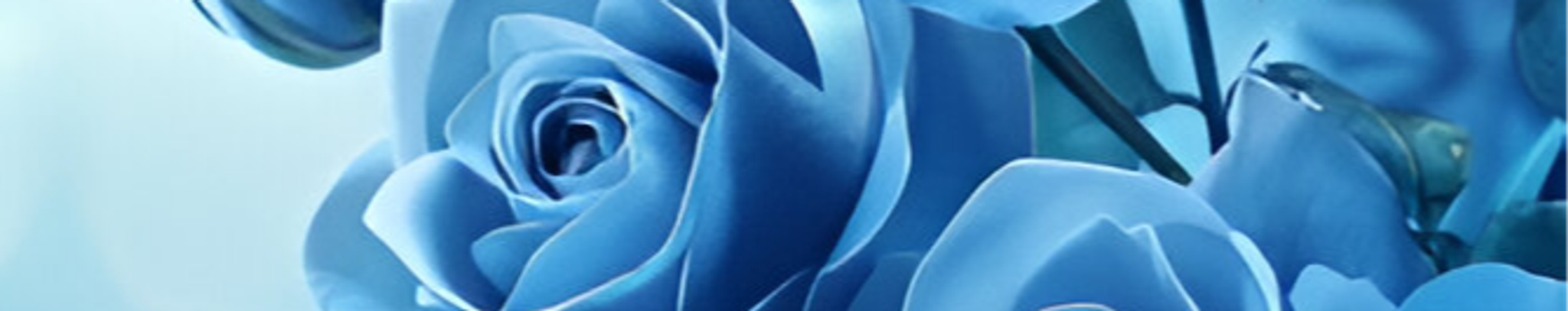 Cover photo for Eva Mae Johnson's Obituary