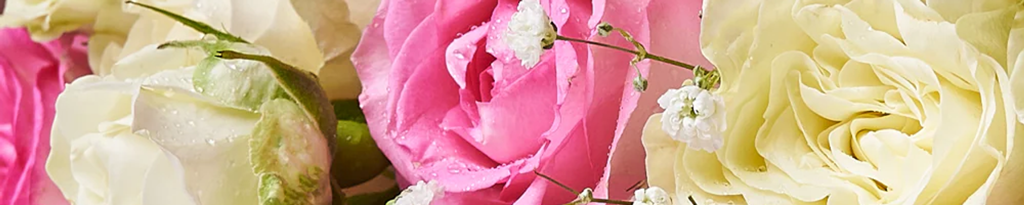 Cover for Patricia Ann Wilson's Obituary